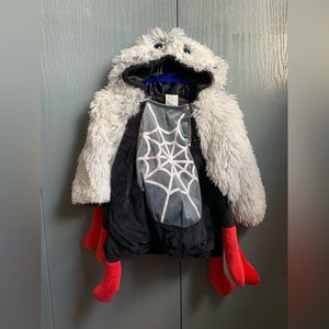 Spider Halloween Costume